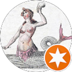 Profile photo of B B