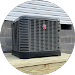 Profile photo of Trevor Arnold