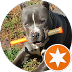 Profile photo of Tracy Ben