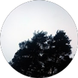 Profile photo of Sungwoo Park