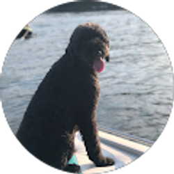 Profile photo of Wendy Kupsky