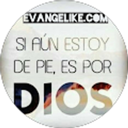 Profile photo of Laura Cardenas