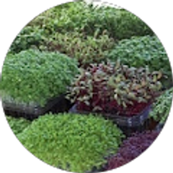 Profile photo of David