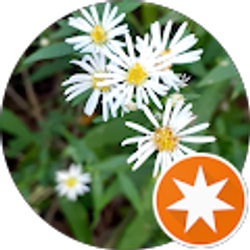 Profile photo of maria martinez