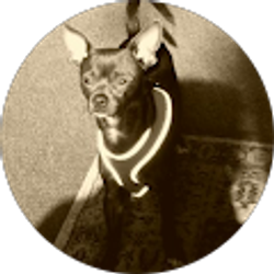 Profile photo of Claudia Juarez