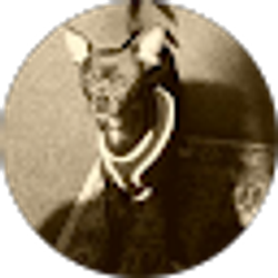 Profile photo of Claudia Juarez