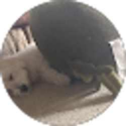 Profile photo of Alex Scholten