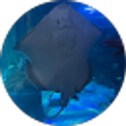 Profile photo of Monika Junker