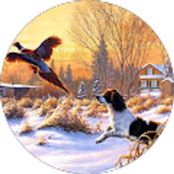 Profile photo of Chris