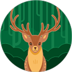 Profile photo of Steggy