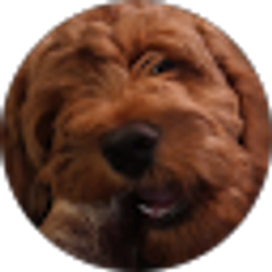 Profile photo of Adam Utley