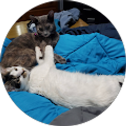 Profile photo of Theresa Tibby