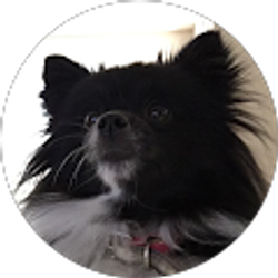 Profile photo of Lori McGowan