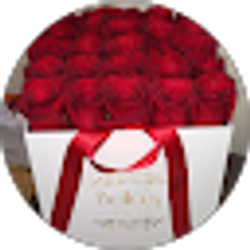 Profile photo of jazmin Lantigua