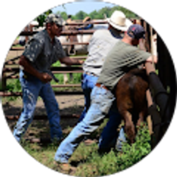 Profile photo of Gena Miller