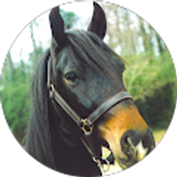 Profile photo of Edwin Thompson