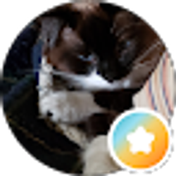 Profile photo of Baxter
