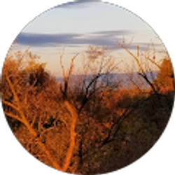 Profile photo of Richinda Adams