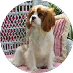 Profile photo of Beverly Manley