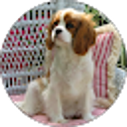 Profile photo of Beverly Manley