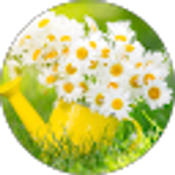 Profile photo of Verna Davis
