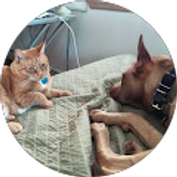 Profile photo of Vince Paul