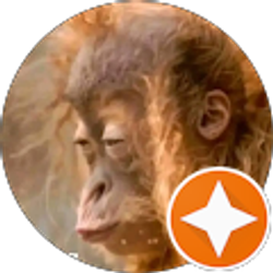 Profile photo of David Ruiz