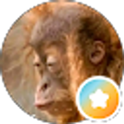 Profile photo of David Ruiz