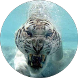 Profile photo of j.Carlos Hatchett