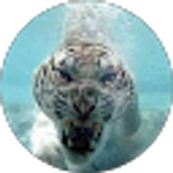 Profile photo of j.Carlos Hatchett