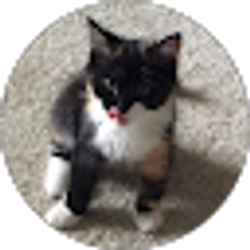 Profile photo of Madison Heath