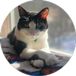 Profile photo of Madison Dunlap