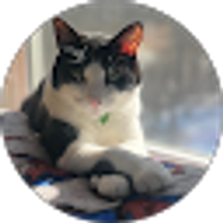 Profile photo of Madison Dunlap