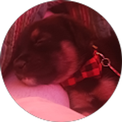 Profile photo of Cordelia Dennen