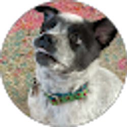 Profile photo of Jimbo Dudley