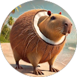 Profile photo of N Shafi