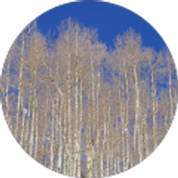 Profile photo of Jun Park