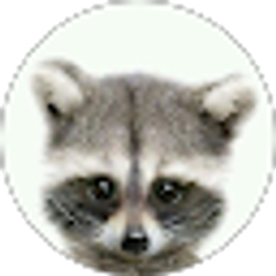 Profile photo of Tay M