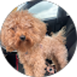 Profile photo of Eva Baez
