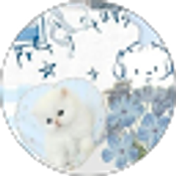 Profile photo of Tiffany T