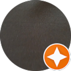 Profile photo of Anjelique