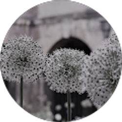 Profile photo of Mollie Bailey