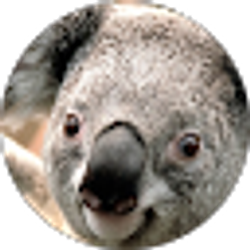 Profile photo of Satchel Wells
