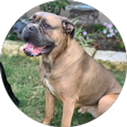 Profile photo of Shasta Danielle Bell-Osborn