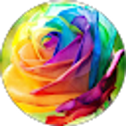 Profile photo of Tori
