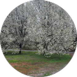 Profile photo of Jenny BAXTER