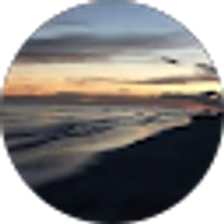 Profile photo of Debra McDaniel