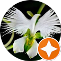 Profile photo of Jill Peters