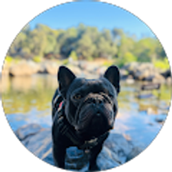 Profile photo of Nicole N