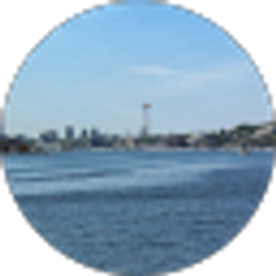 Profile photo of D Patrick